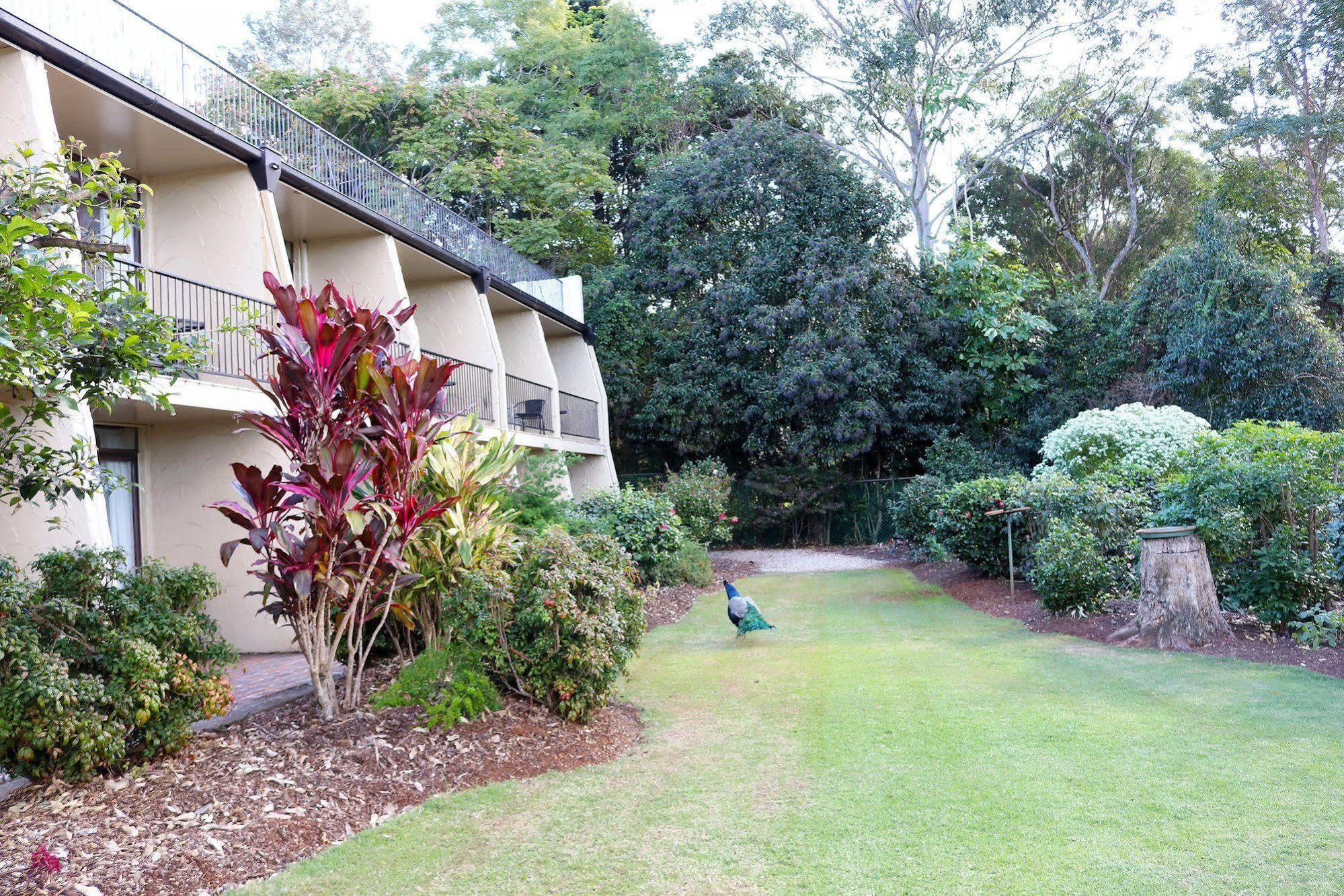 The Tamborine - Boutique Hotel Mount Tamborine Extérieur photo